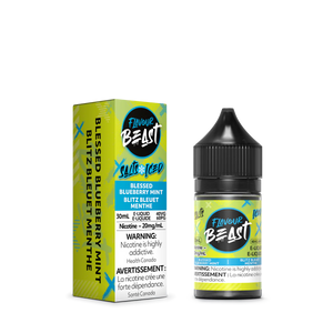 Flavour Beast E-liquid  Blessed Blueberry Mint (Iced)